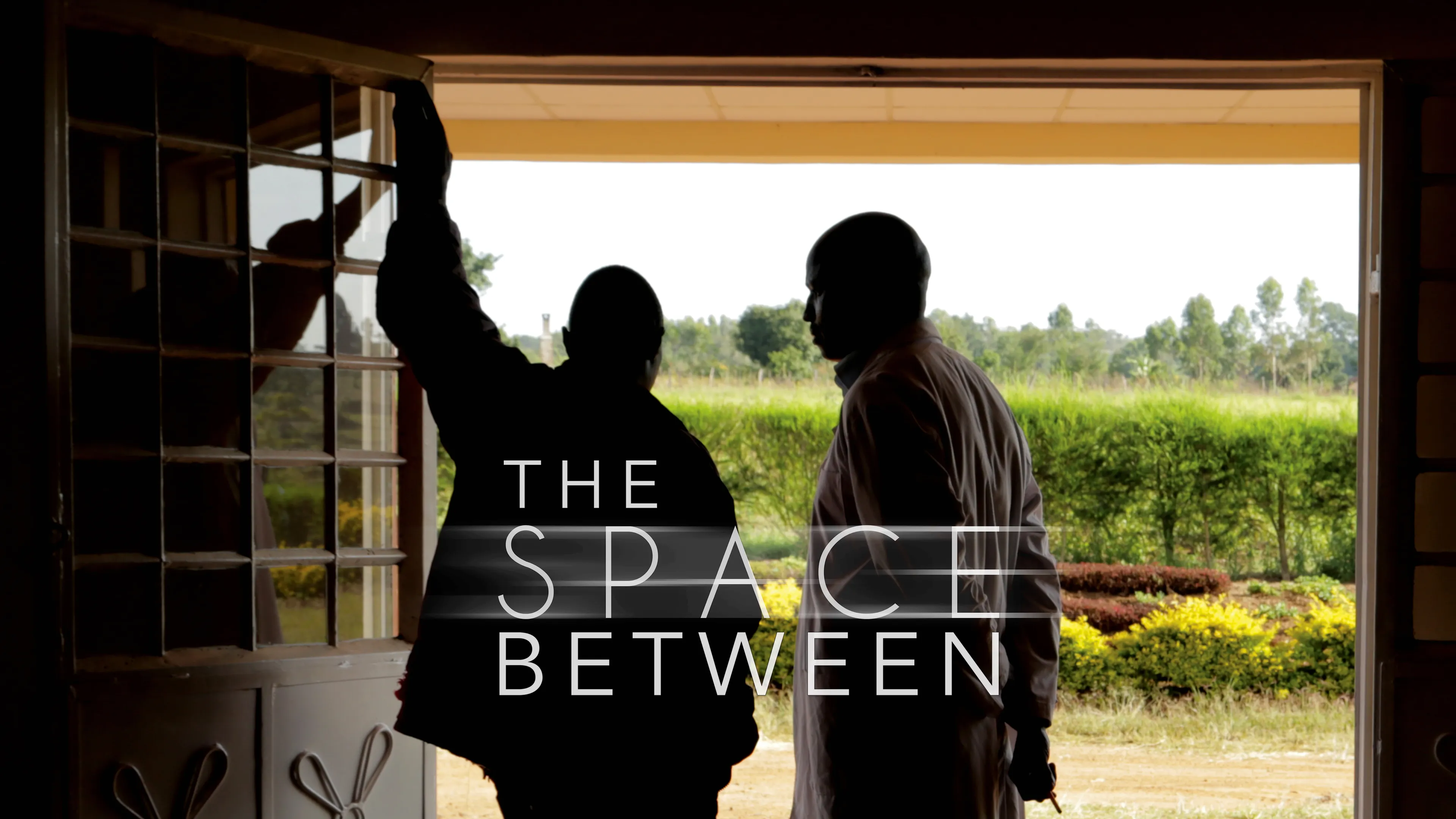 The Space Between poster